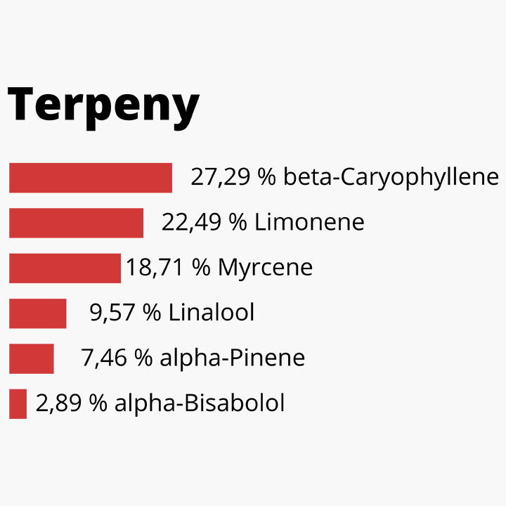 szczegóły dotyczące terpenów